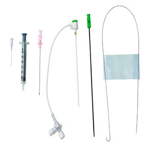 Introducer Sheath